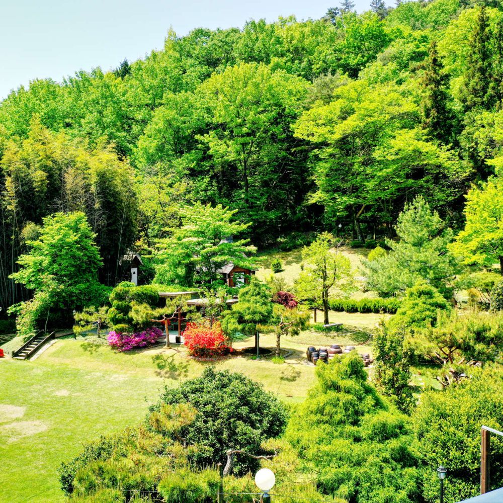 주간전경