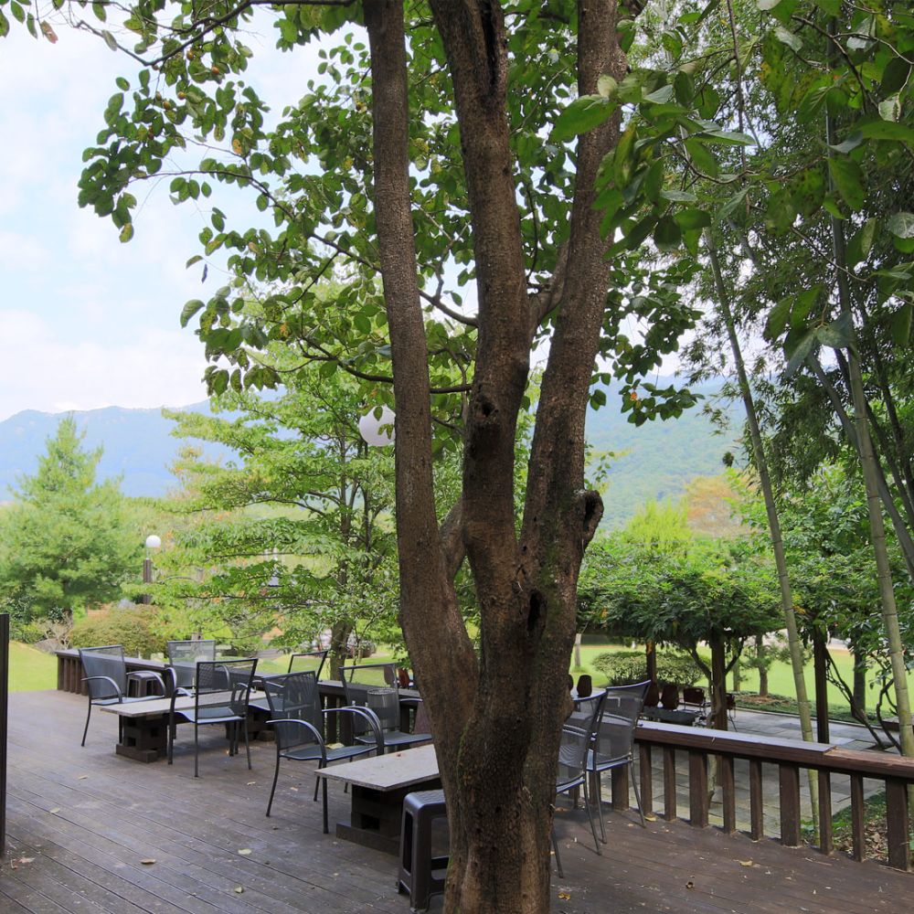 주간전경