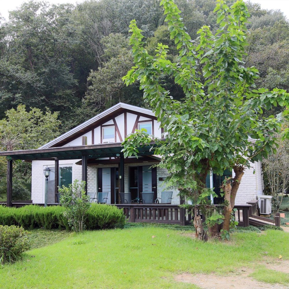 주간전경